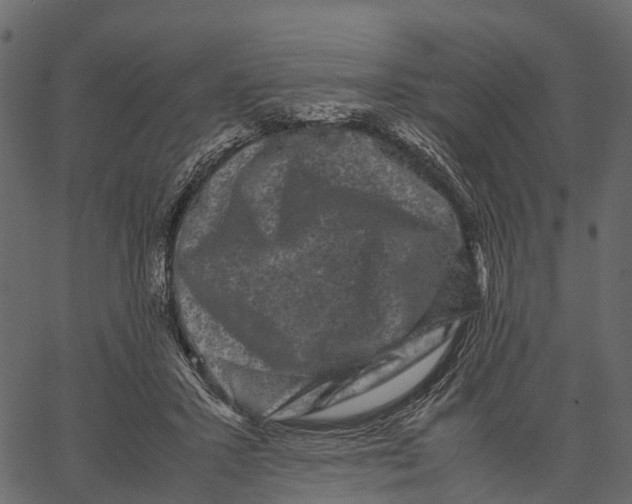 X0000062630407200601111105