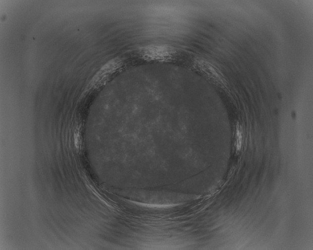 X0000062630408200601111105