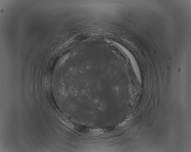 X0000062630409200601111105