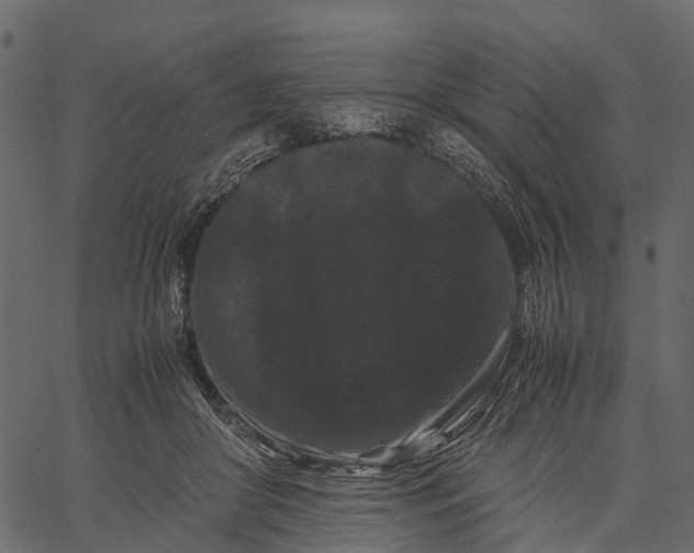 X0000062630410200601111105