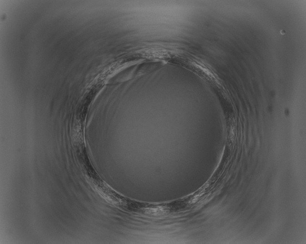 X0000062630411200601111105