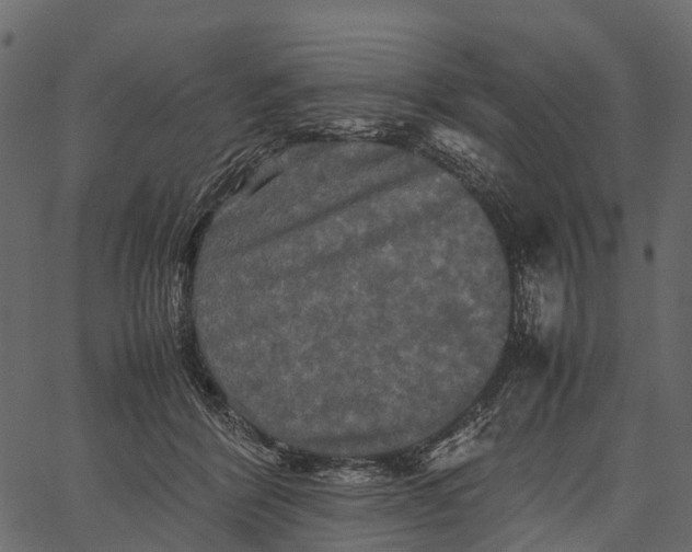 X0000062630412200601111105