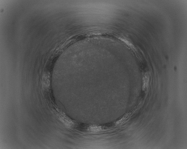 X0000062630413200601111105