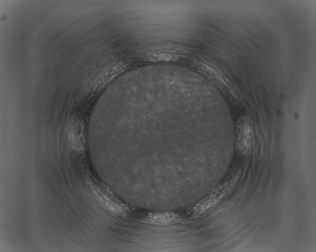 X0000062630414200601111105