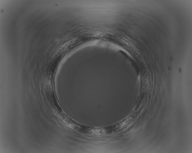 X0000062630415200601111105