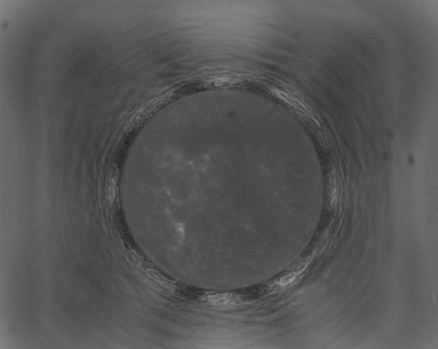 X0000062630417200601111105