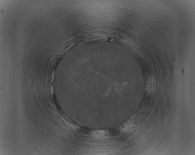 X0000062630418200601111105