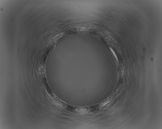 X0000062630419200601111105