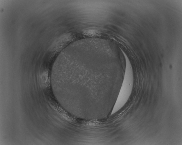 X0000062630420200601111105