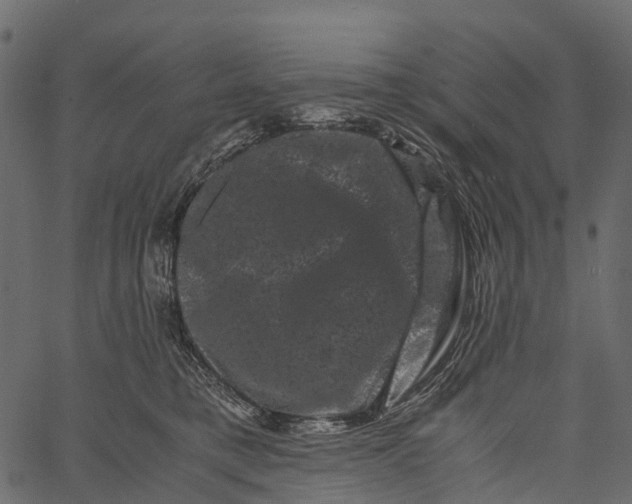 X0000062630421200601111105