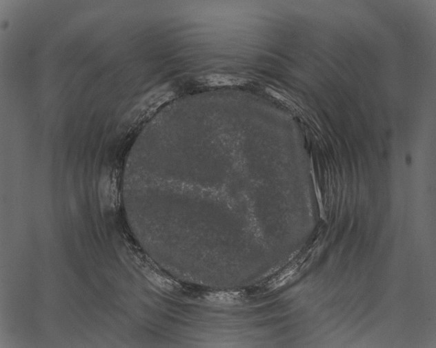 X0000062630422200601111105