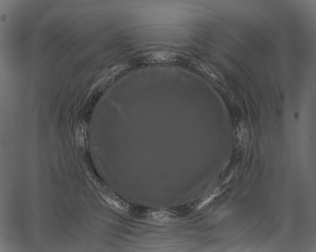 X0000062630423200601111105