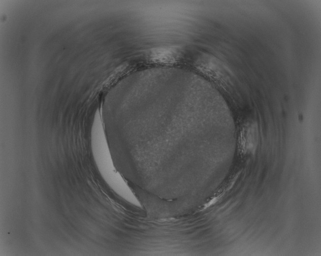 X0000062630424200601111105