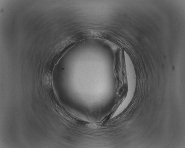 X0000062630425200601111105