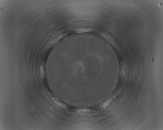 X0000062630426200601111105