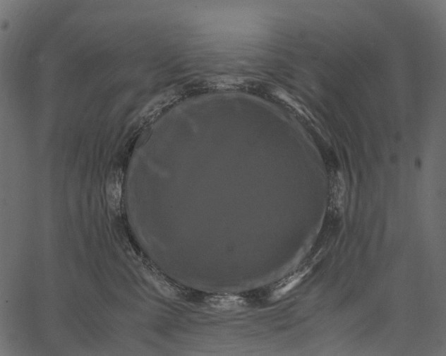 X0000062630427200601111105