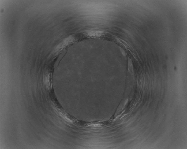 X0000062630428200601111105