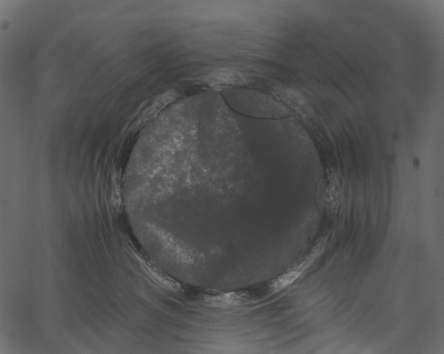 X0000062630430200601111105