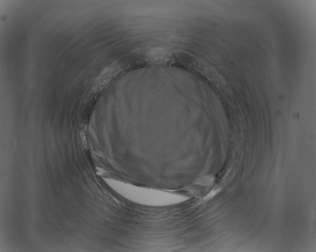 X0000062630432200601111105