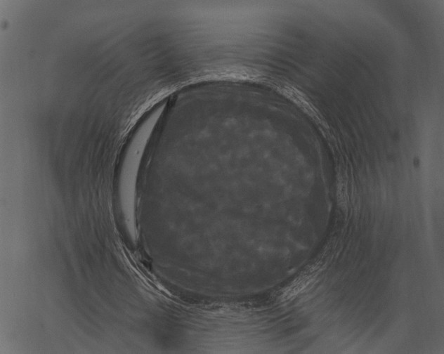 X0000062630434200601111104