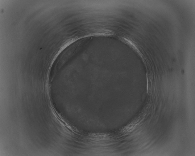 X0000062630435200601111104