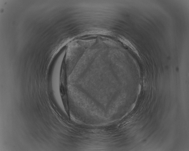 X0000062630436200601111104