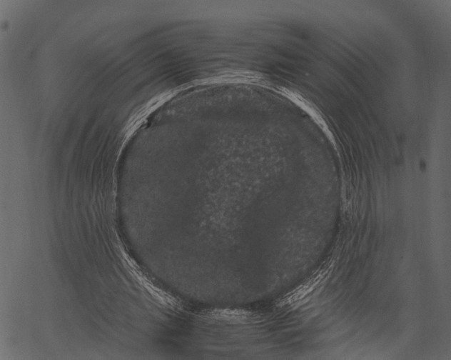 X0000062630437200601111104