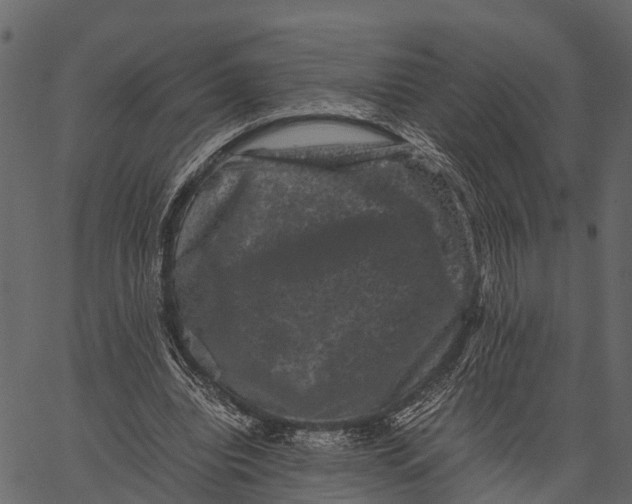 X0000062630440200601111104