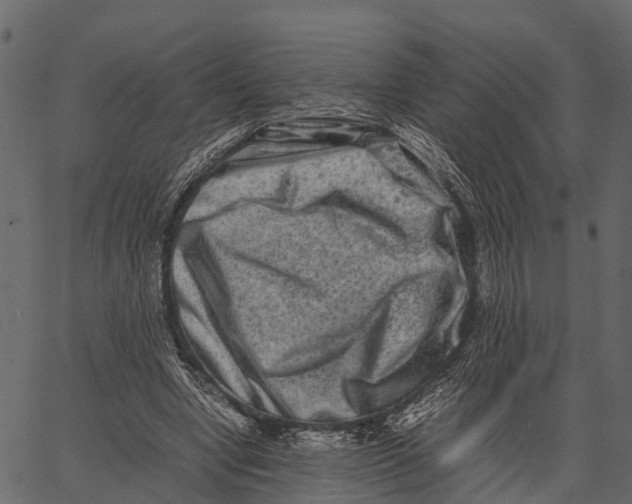 X0000062630442200601111104