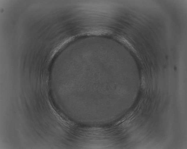 X0000062630444200601111104