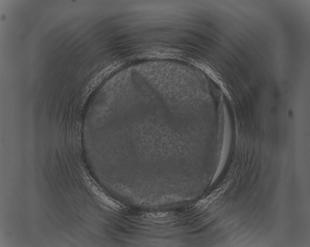 X0000062630445200601111104