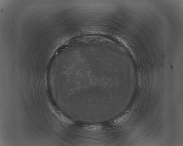 X0000062630447200601111104