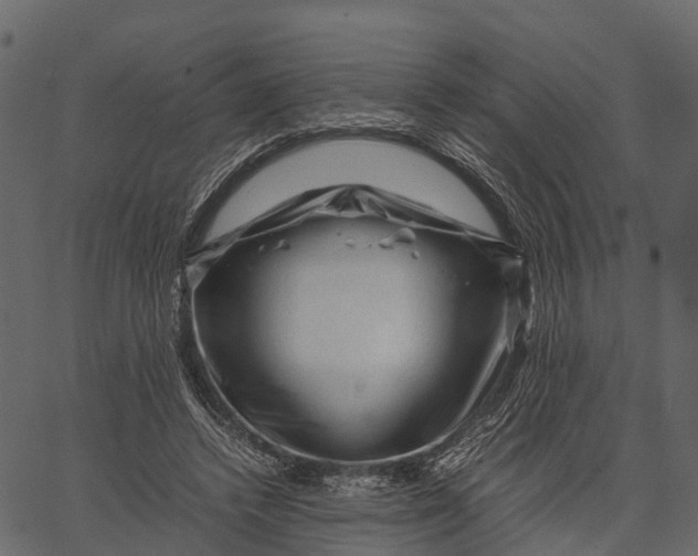 X0000062630448200601111104