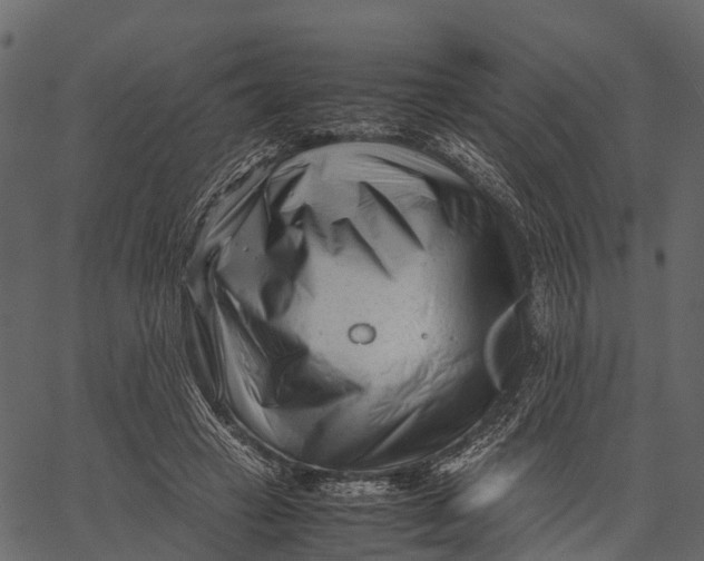 X0000062630449200601111104