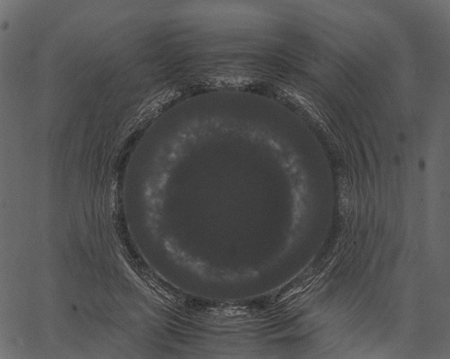 X0000062630451200601111104