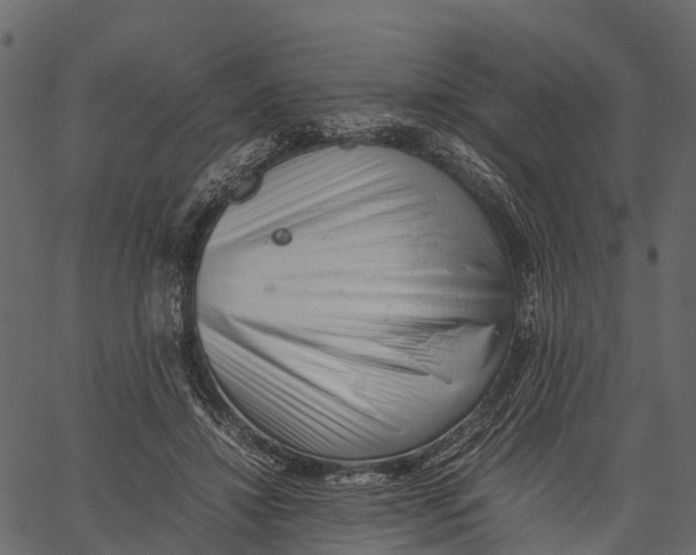 X0000062630452200601111104