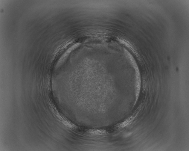 X0000062630453200601111104