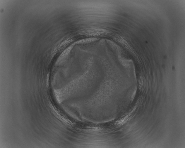 X0000062630454200601111104