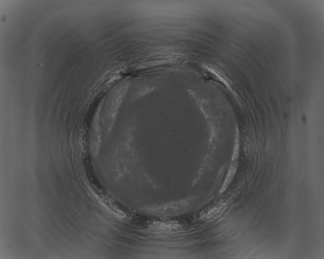 X0000062630455200601111104