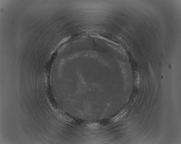 X0000062630456200601111104