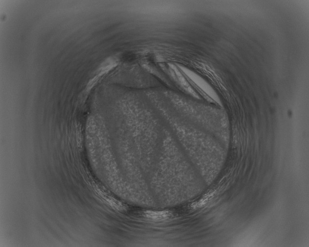 X0000062630457200601111104