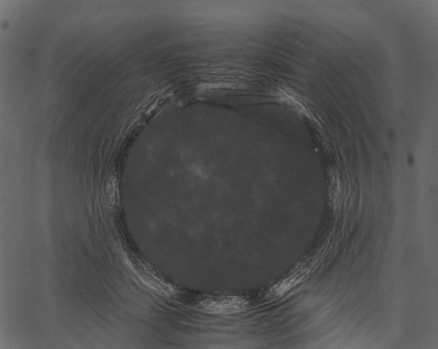 X0000062630459200601111104