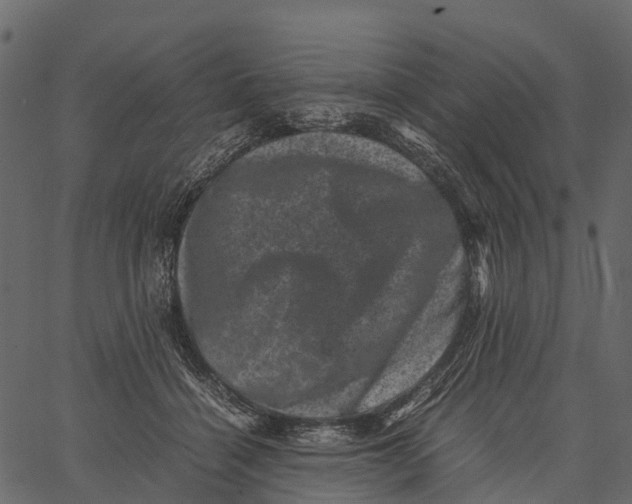 X0000062630460200601111104