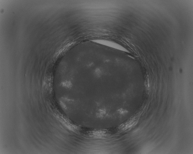 X0000062630462200601111104