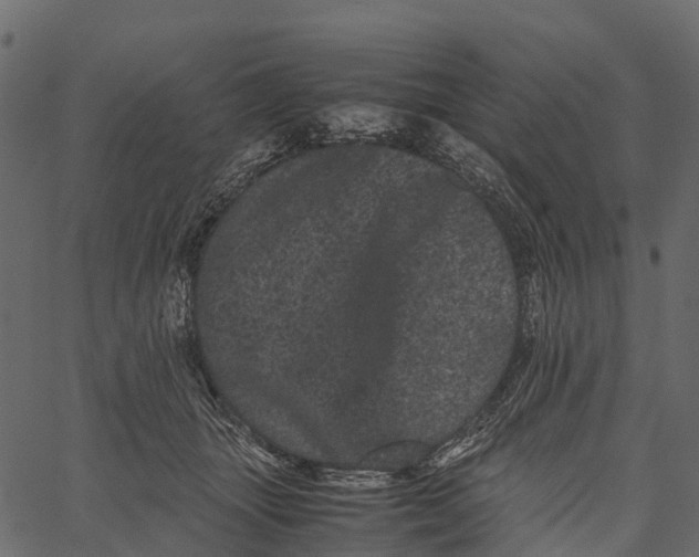 X0000062630463200601111104