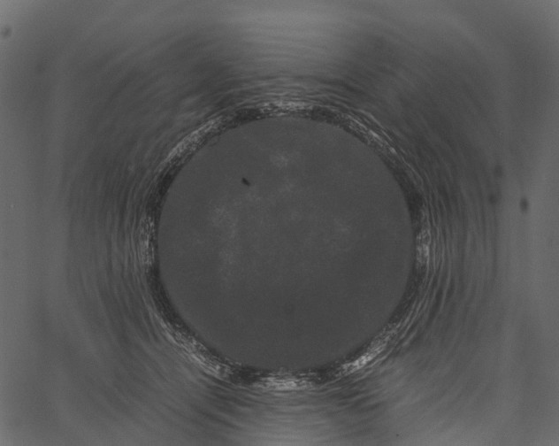 X0000062630464200601111104