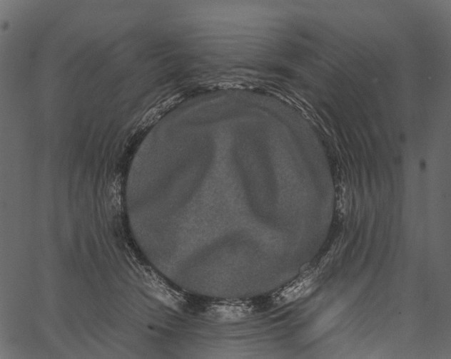 X0000062630466200601111104