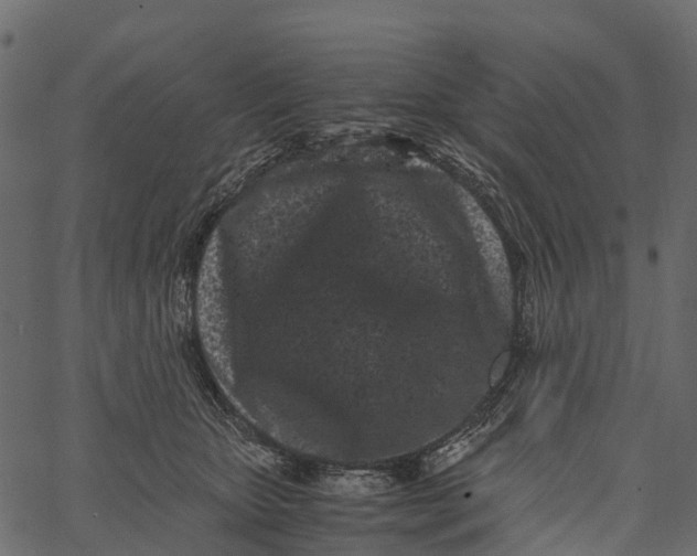 X0000062630467200601111104