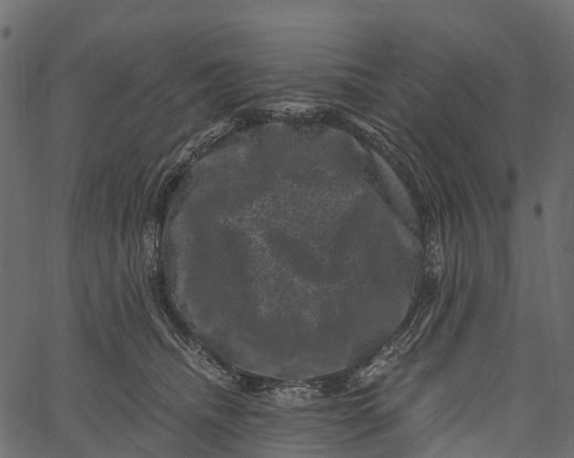 X0000062630468200601111104