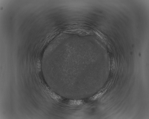 X0000062630469200601111104